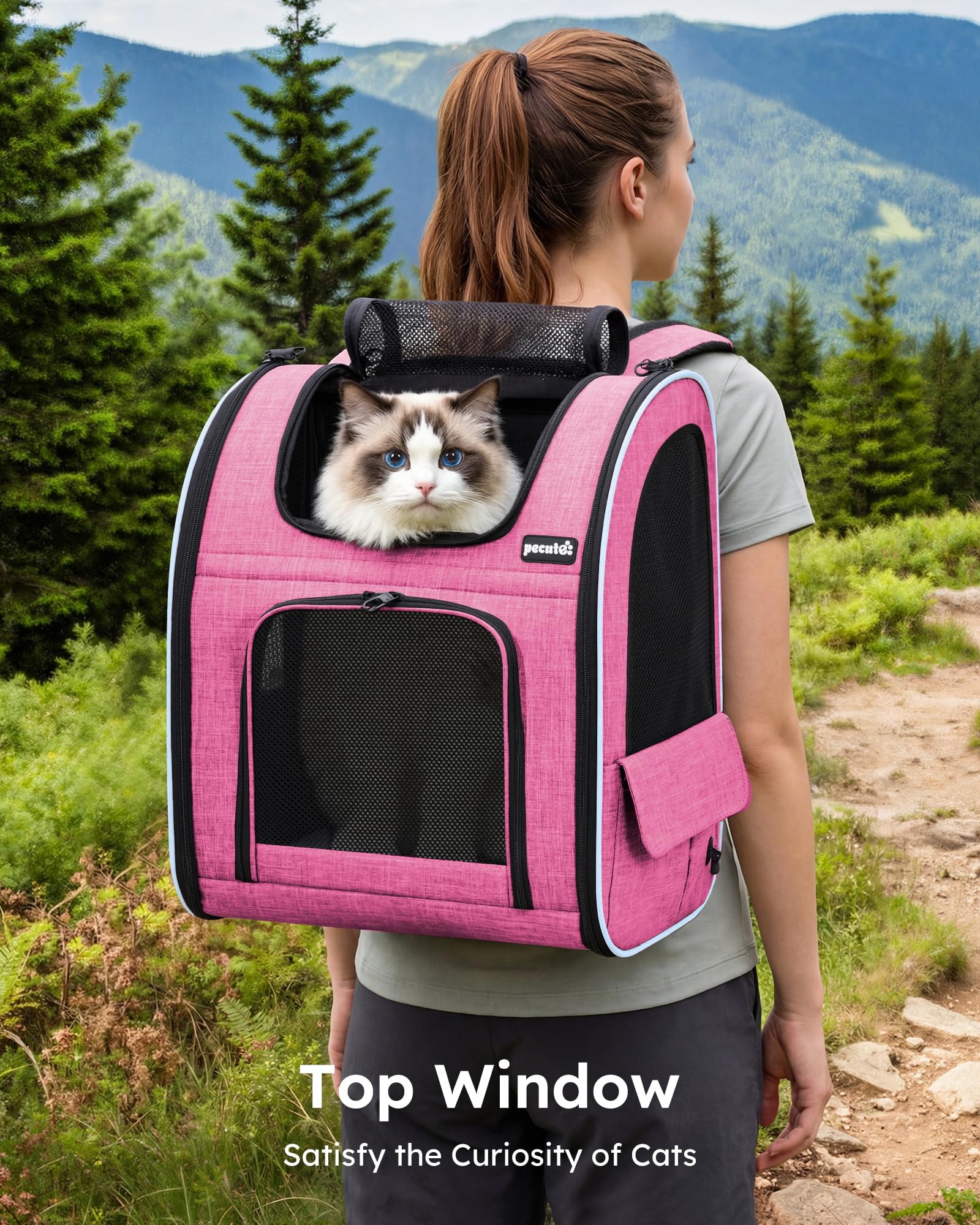 Pecute sac dos chat design extensible pour plus d'espace pendant les trajets.
