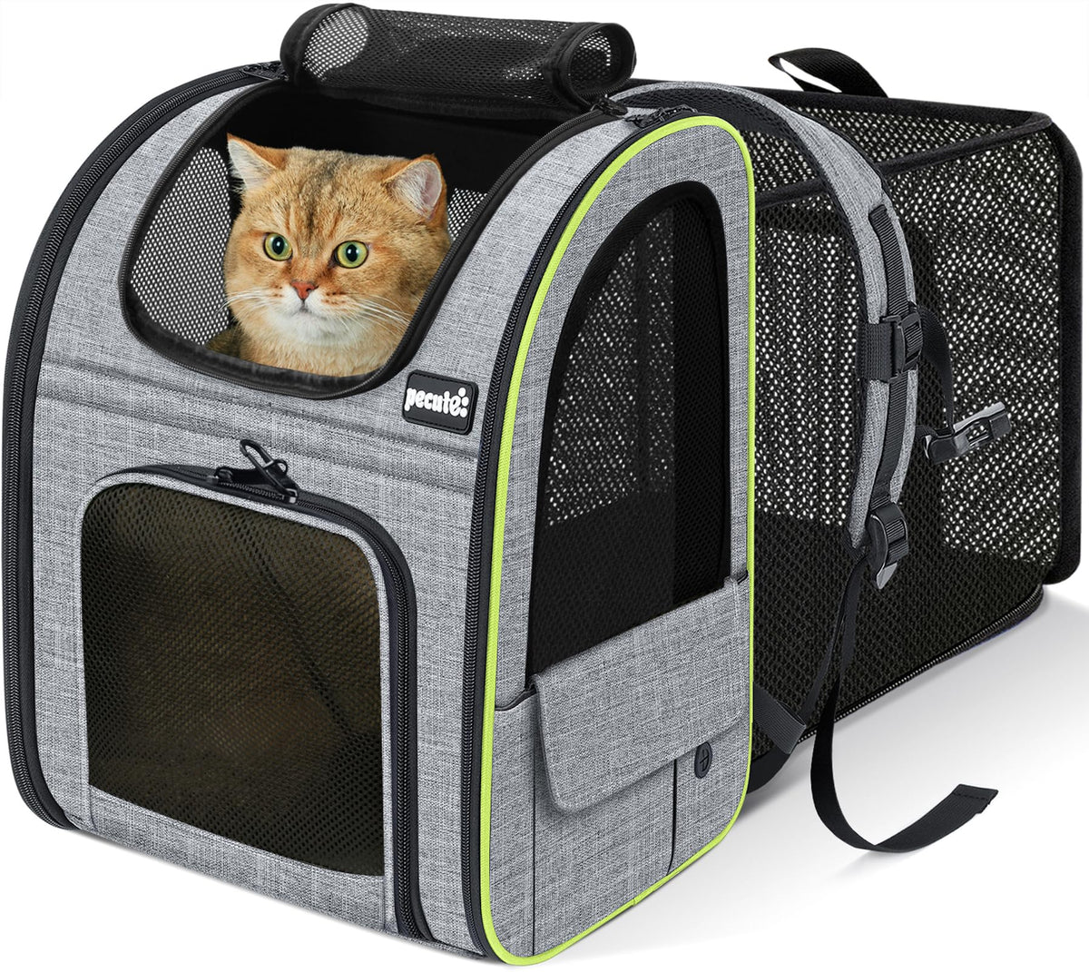 Pecute sac-dos-chat-extensible, espace supplémentaire pour se détendre en voyage.