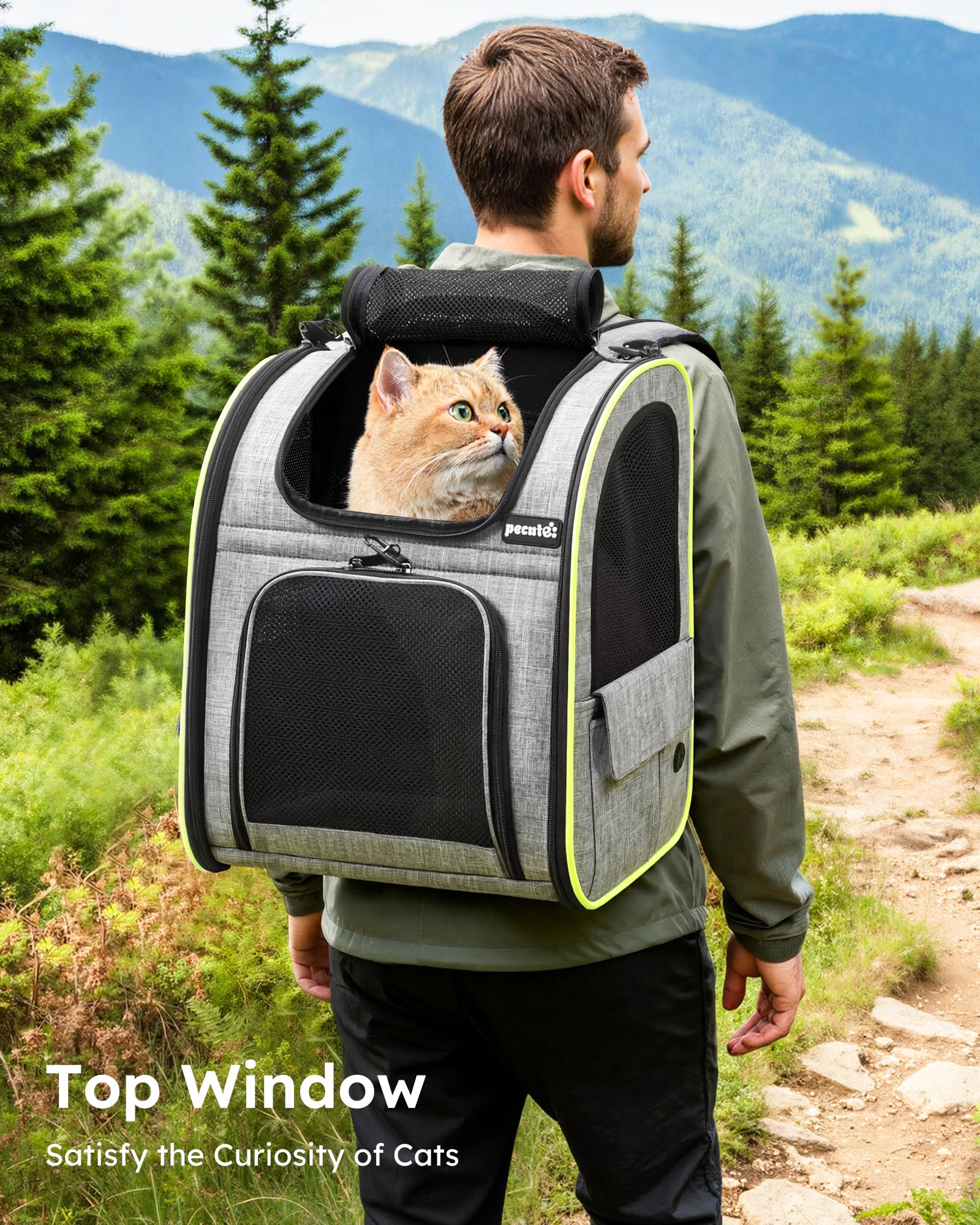 Pecute sac-dos-chat maille ventilation assure une bonne circulation d'air.