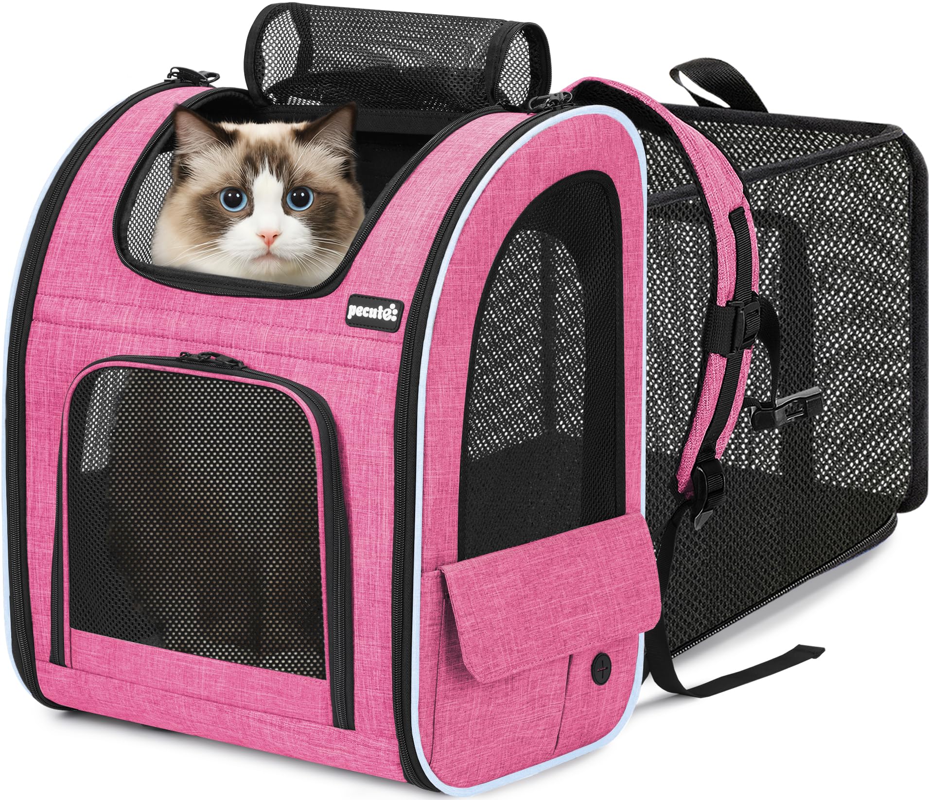 Pecute sac dos chat mesh 4 cotes offrant ventilation et observation facile.