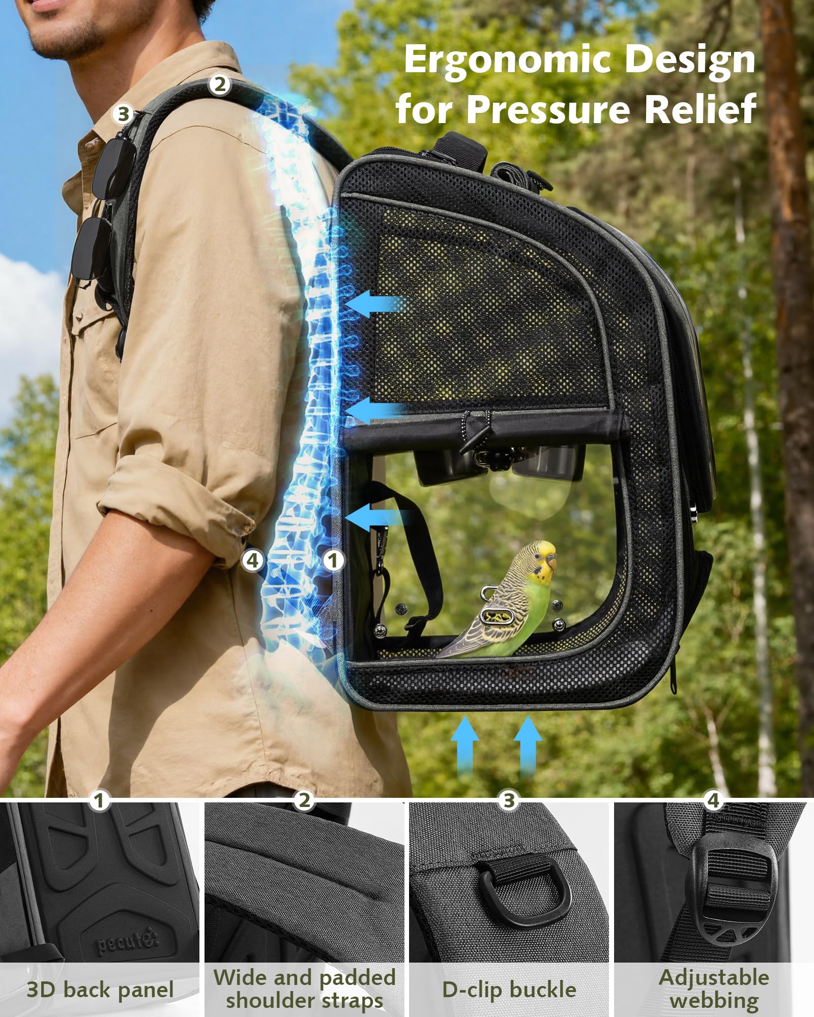 Pecute sac à dos oiseaux: dos ergonomique pour un port prolongé sans fatigue.