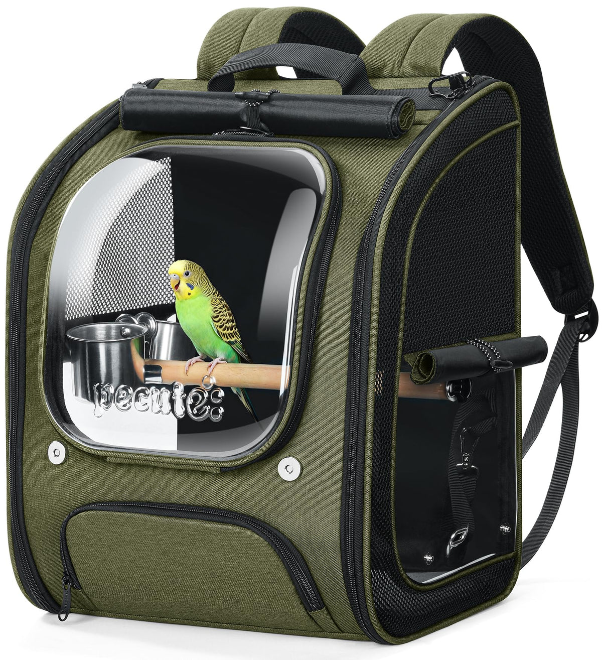 Pecute sac dos oiseaux avec fenêtre transparente pour surveiller l’animal en douceur