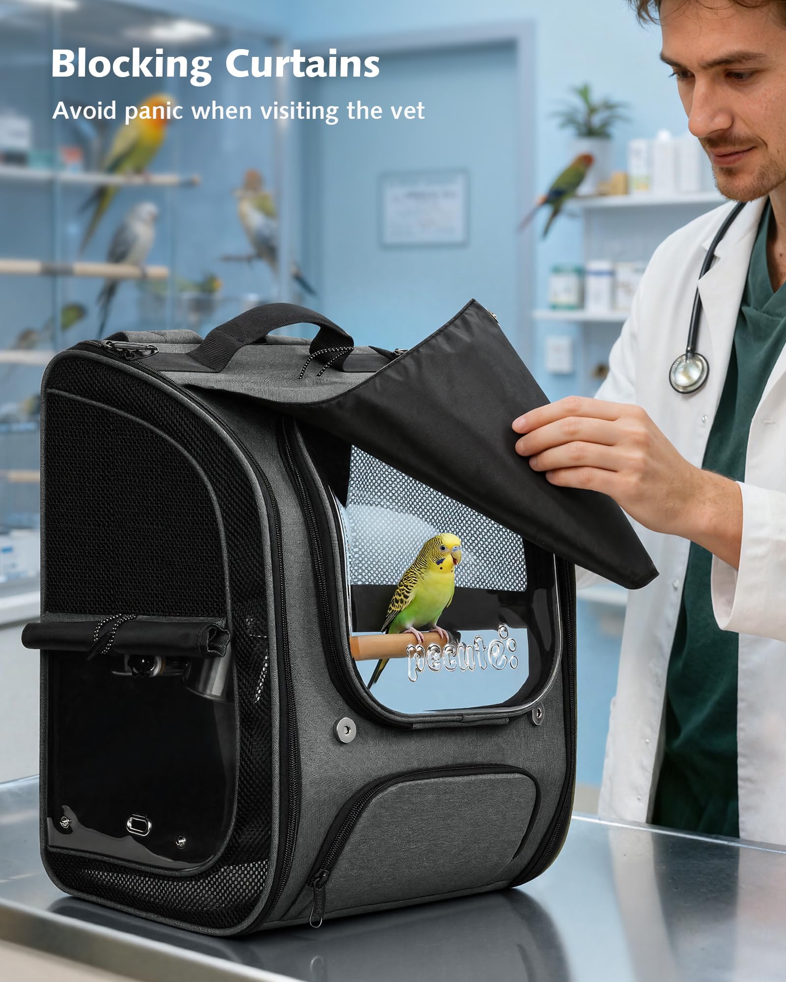 Pecute sac à dos oiseaux: pliable et portable pour un rangement facile.