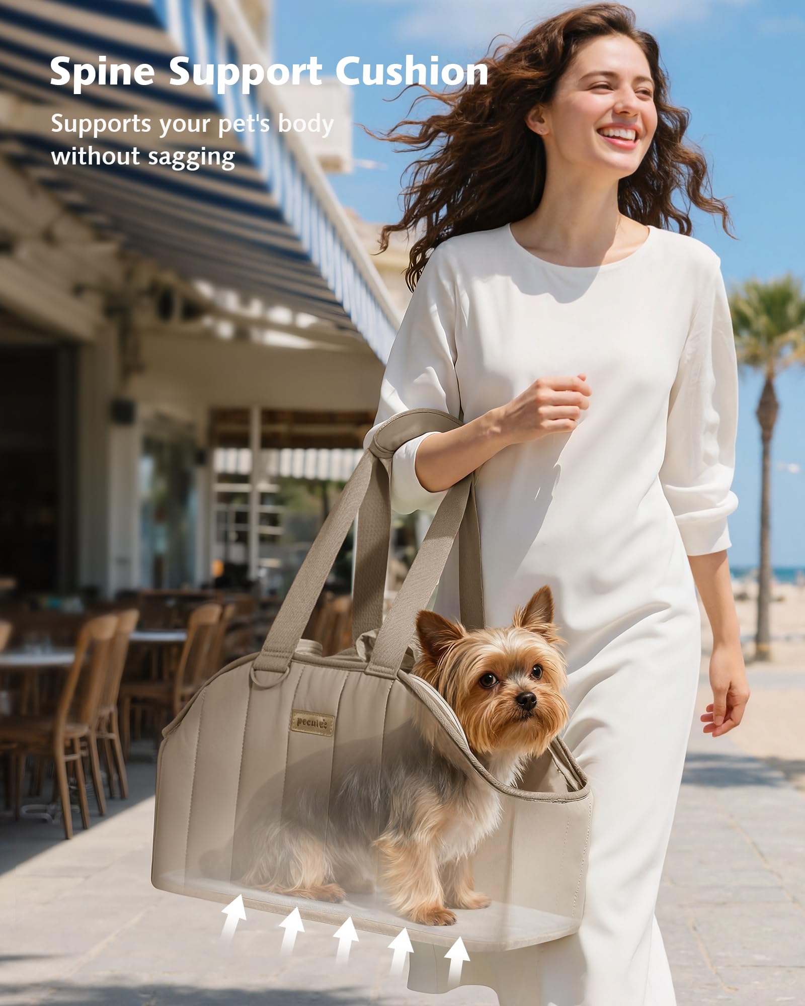 Pecute Sac-porteur-chien impermeable: surface imperméable et facile a entretenir.