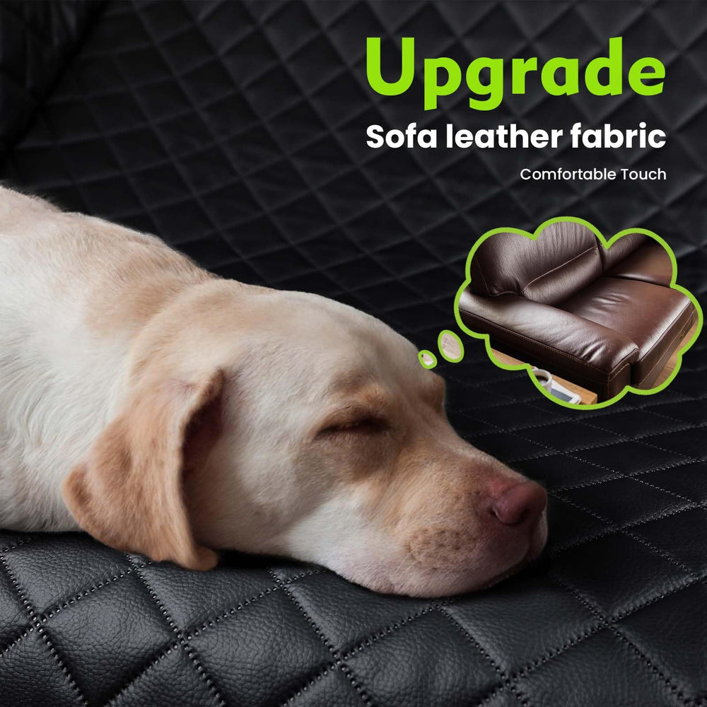 Texture cuir imitation sur la housse chien, imperméable et facile à nettoyer