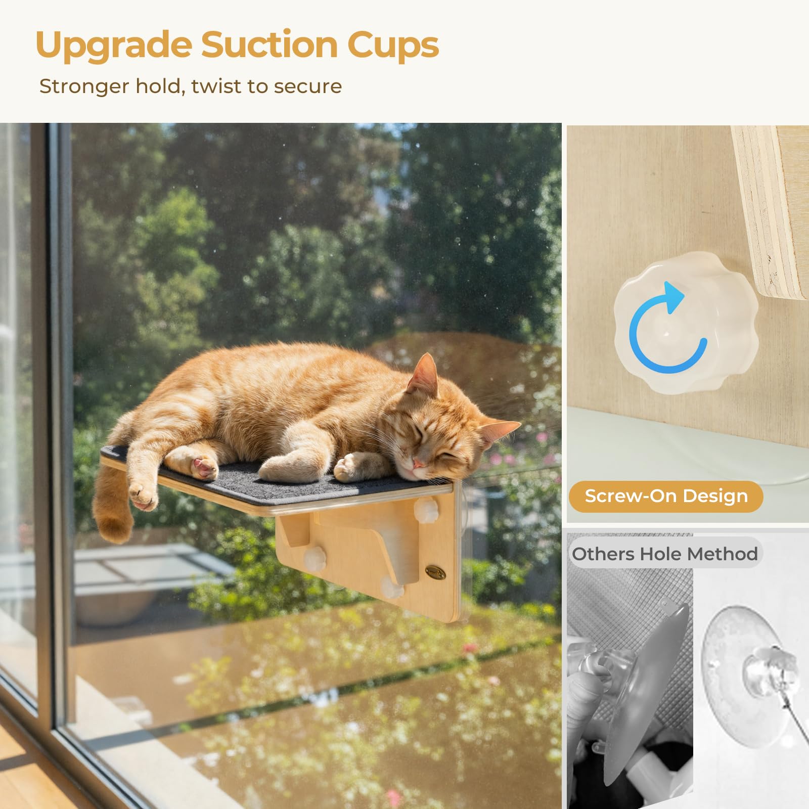 Vue en hauteur pour chats avec Pecute, espace vertical pour observation.