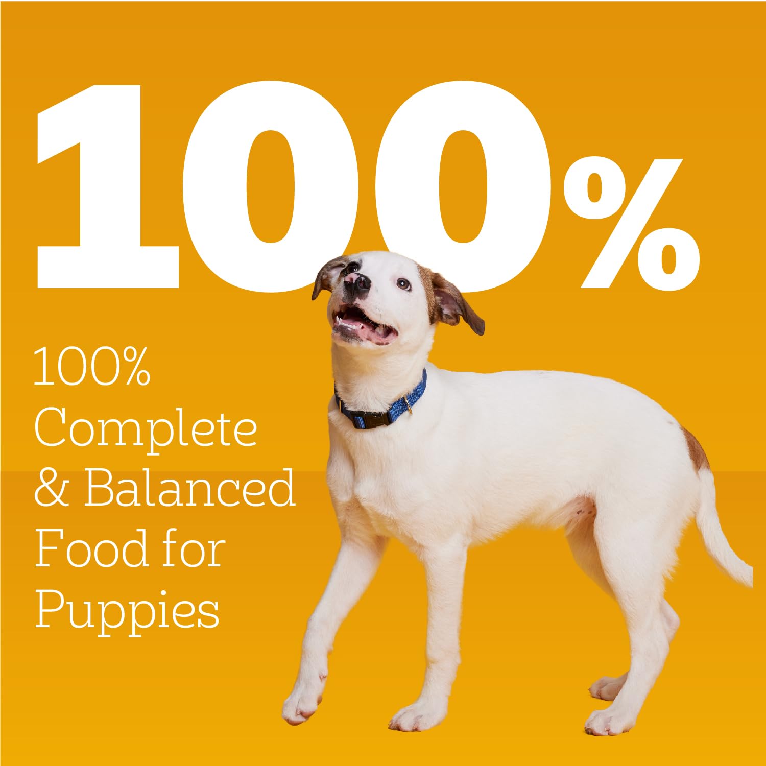 Pedigree Puppy Chopped Ground Dinner - ouverture facile pour servir rapidement.