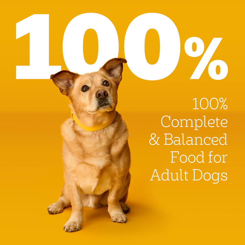 Pedigree – protéines réelles dans chaque portion pour nourrir votre chien.