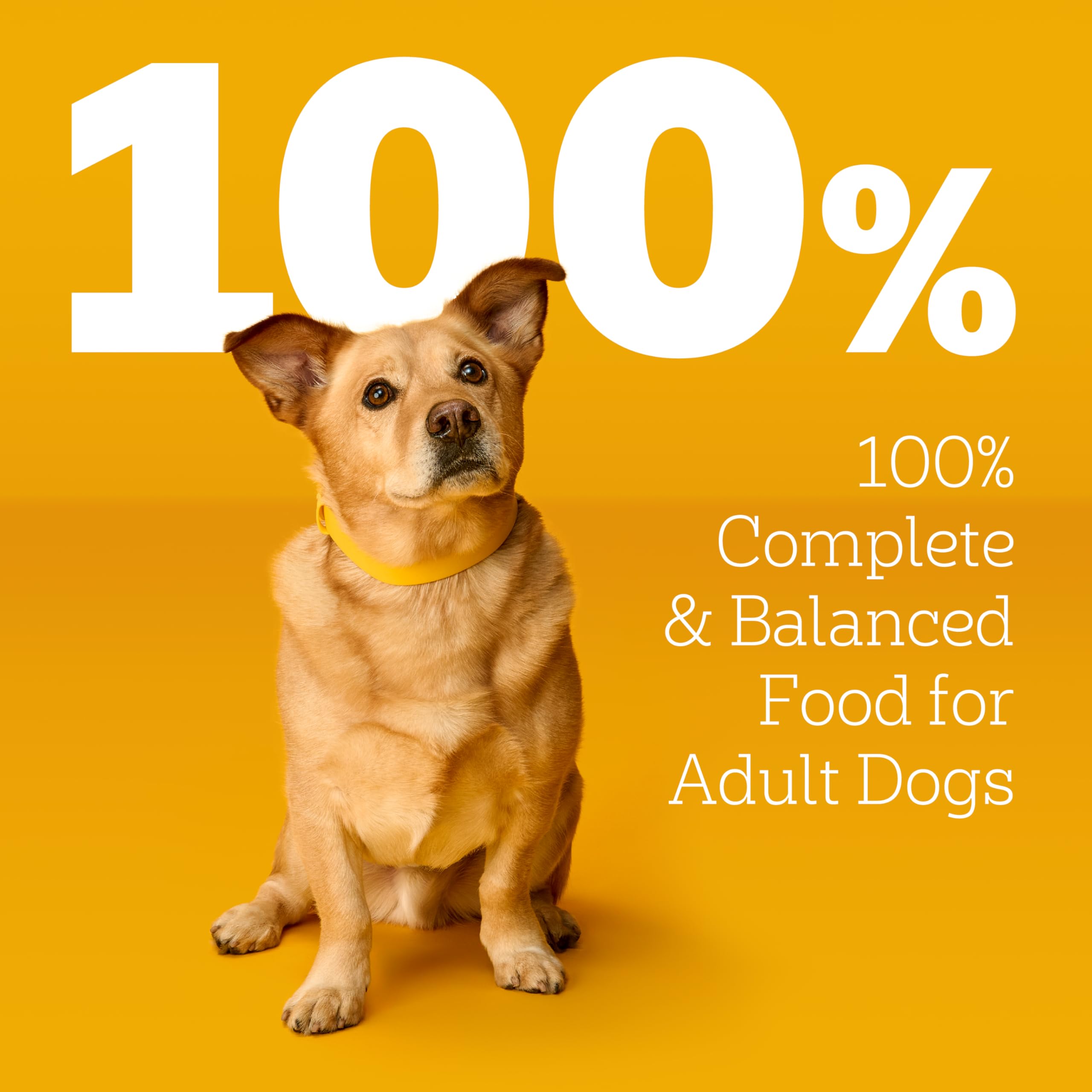 Pedigree Choice Cuts en Gravy, favorise l'hydratation avec plus de 50% d’eau.