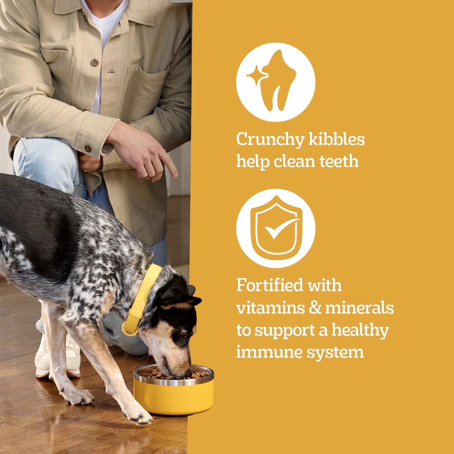 Pedigree Fabriqué aux États‑Unis – ingrédients de qualité du monde entier.