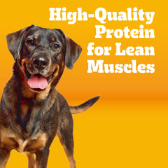 Pedigree Healthy Weight bol-repas-chien prêt à servir pour repas équilibré.