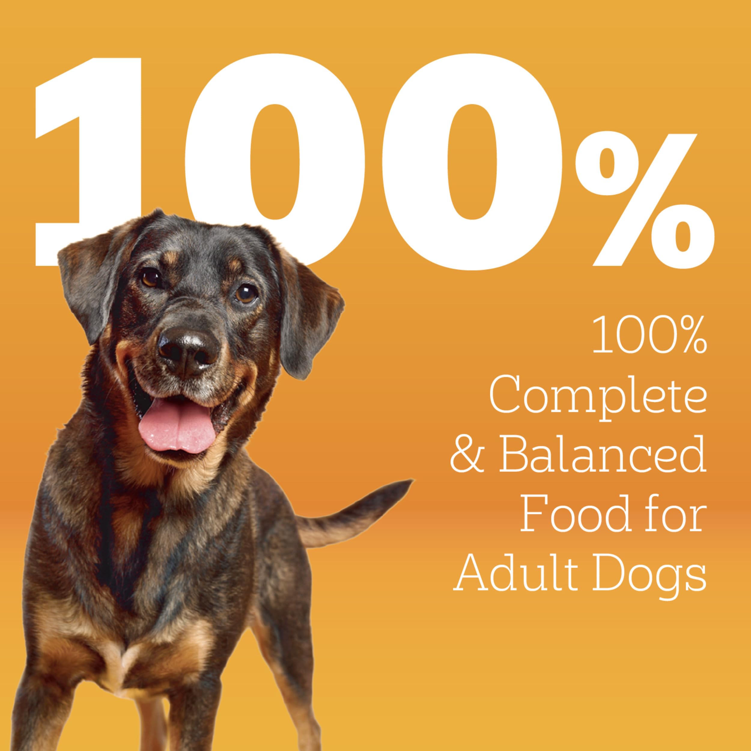 Pedigree Protéines 36 Vitamines Minéraux – formule équilibrée pour la vitalité quotidienne.