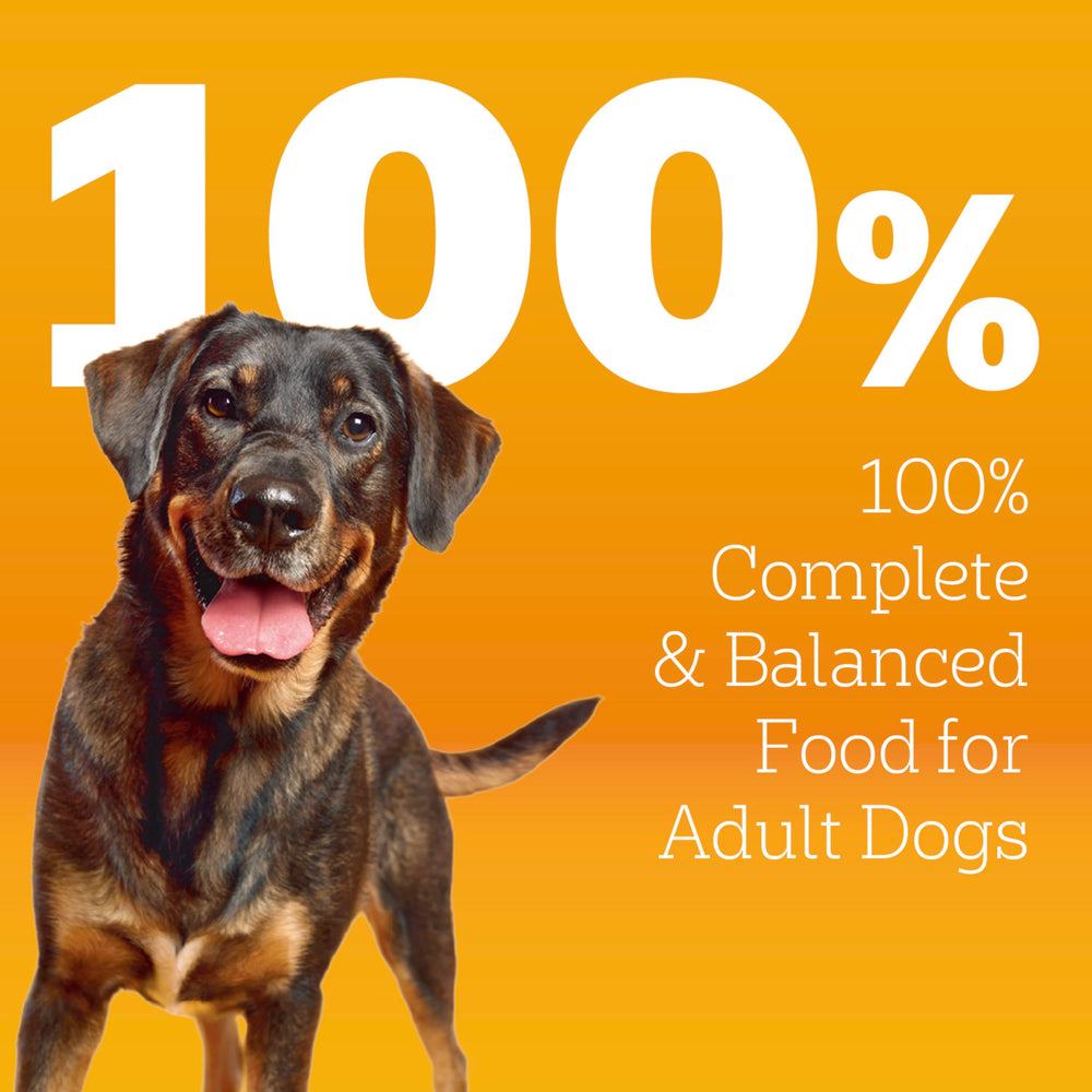Pedigree Protéines 36 Vitamines Minéraux – formule équilibrée pour la vitalité quotidienne.