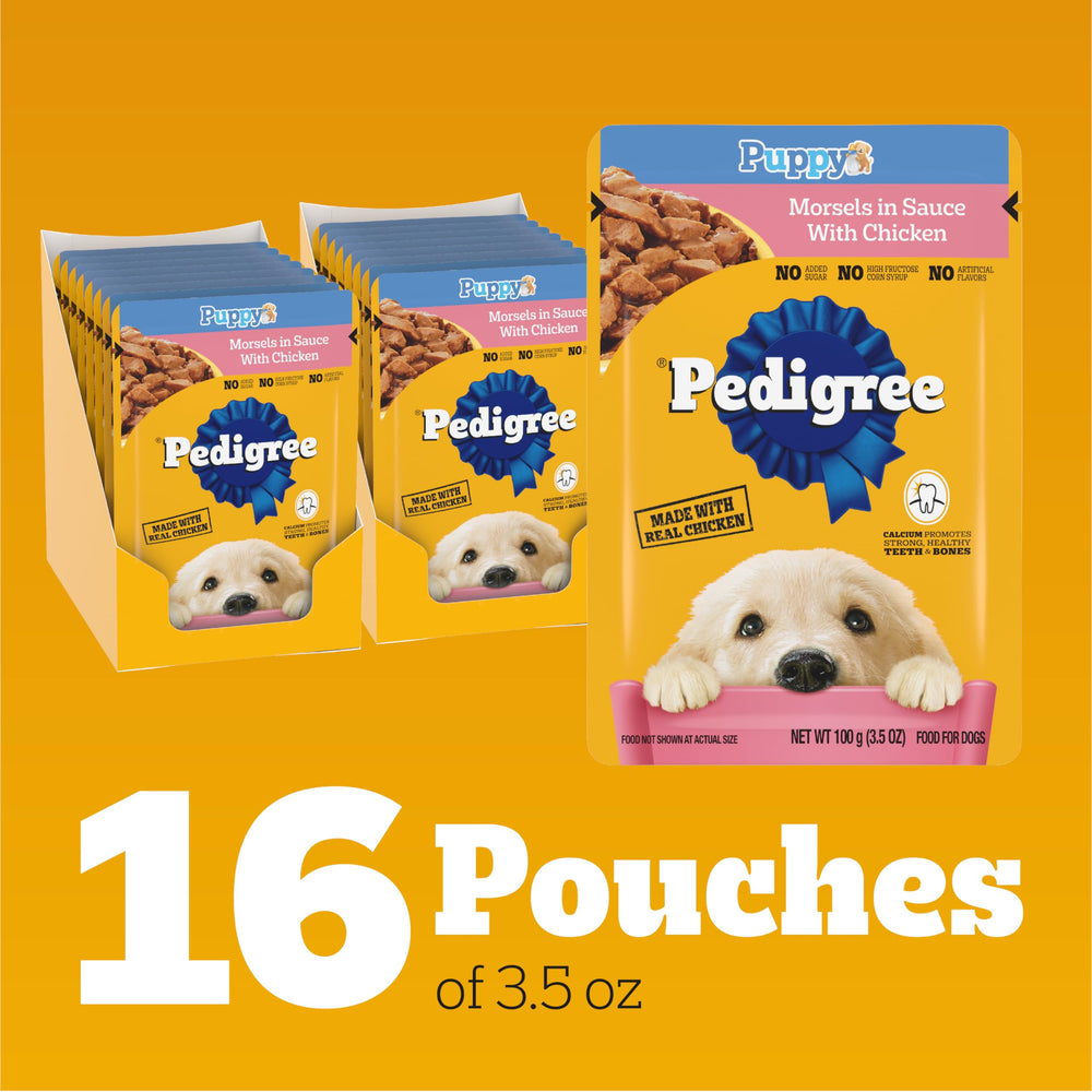 Bol servi avec Pedigree Morsels en sauce