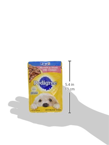 Sauce onctueuse et chiot découvrant les morceaux