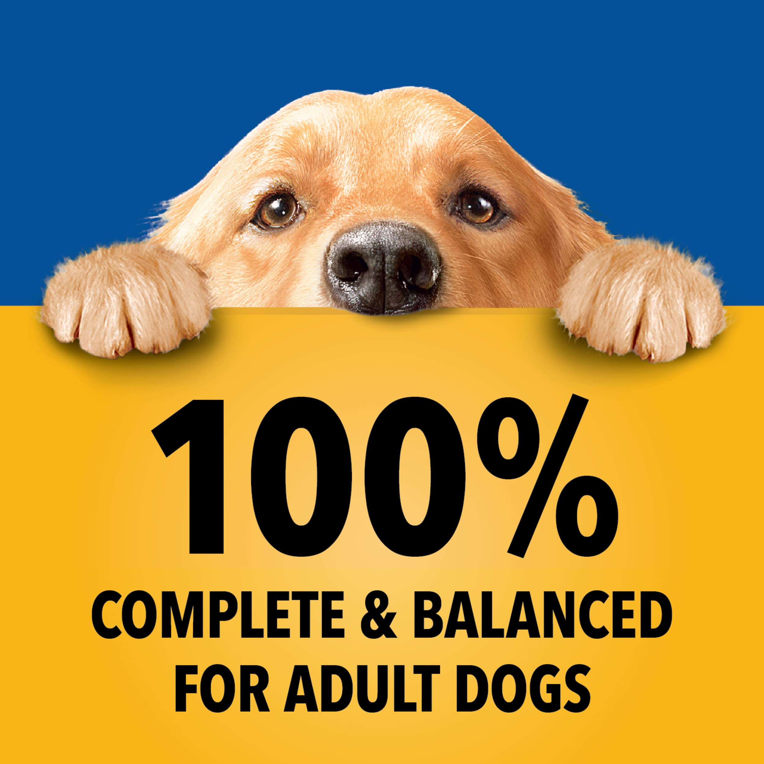 Pedigree sachets nourriture humide chien adulte, repas rapide et pratique.