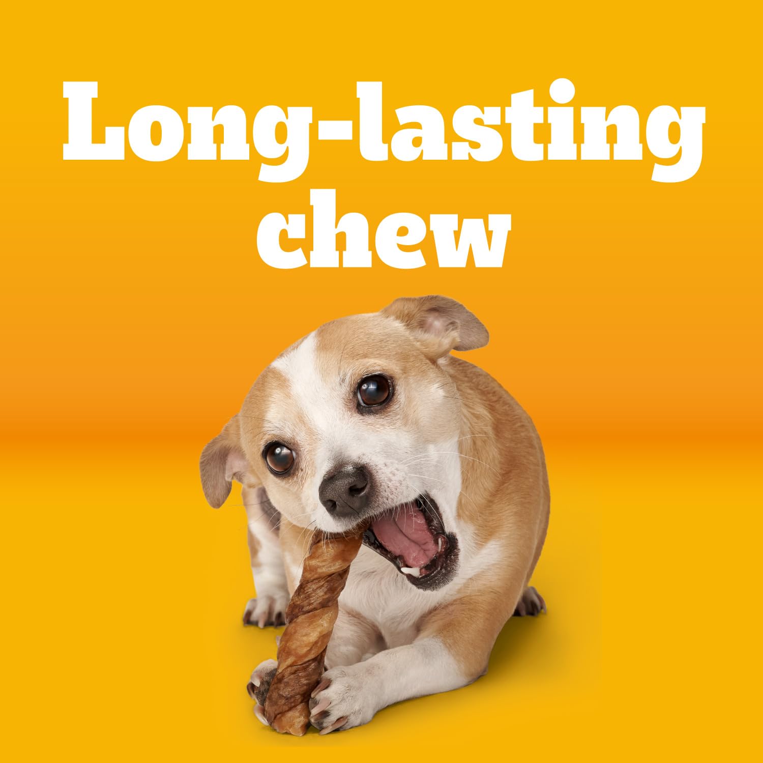 Pedigree Twisty Chews en format pratique pour petite cassette.