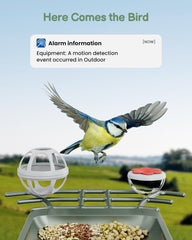 PEEIPM Mangeoire-oiseaux caméra 2K : détection IA pour prévenir les intrusions.