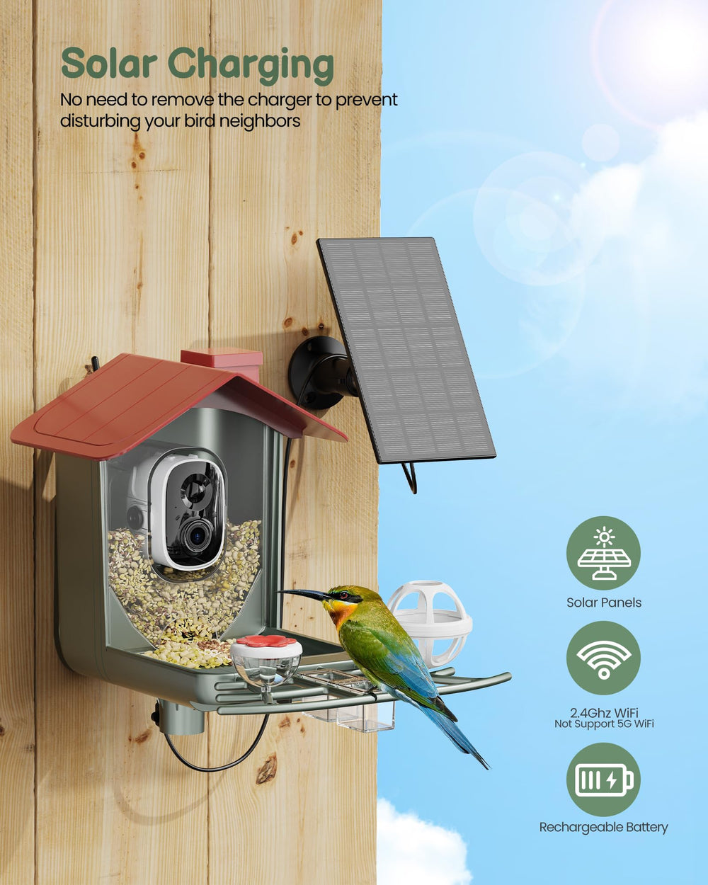 PEEIPM Mangeoire-oiseaux caméra 2K : partage facile avec les amateurs d'oiseaux.