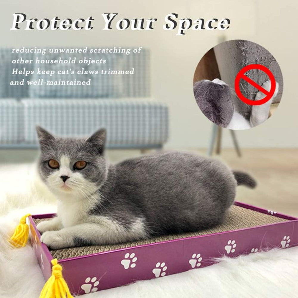 PEEKAB boîte-grattoir chat pour garder le sol propre facilement