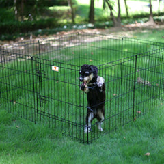 Peekaboo trame métallique solide, structure durable pour animaux.