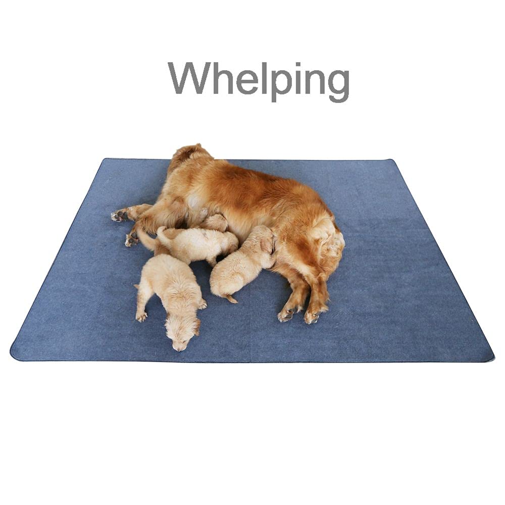 Peepeego Tapis d'apprentissage confort chiots et usage prolongé.