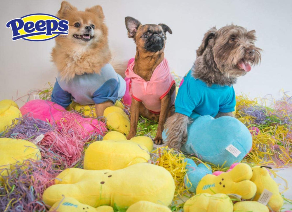 Peeps peluche lapin rose et violet – jouet polyvalent pour tout chien