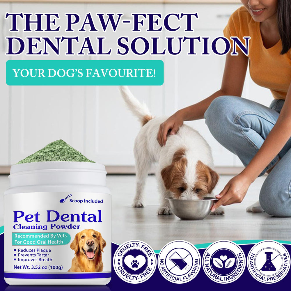 Peesnb poudre dentaire chien usage quotidien pour tous âges et tailles