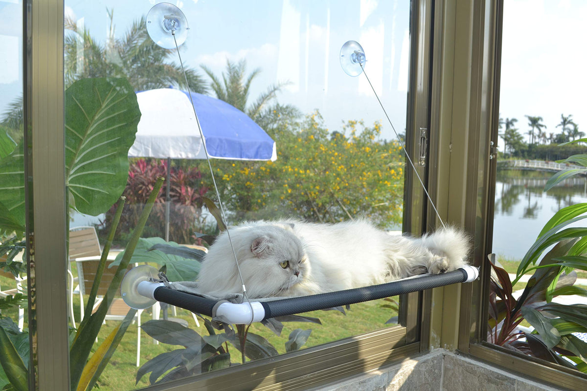 PEFUNY Chat Window Hammock offre une ventouse géante pour repos sûr près de la fenêtre.
