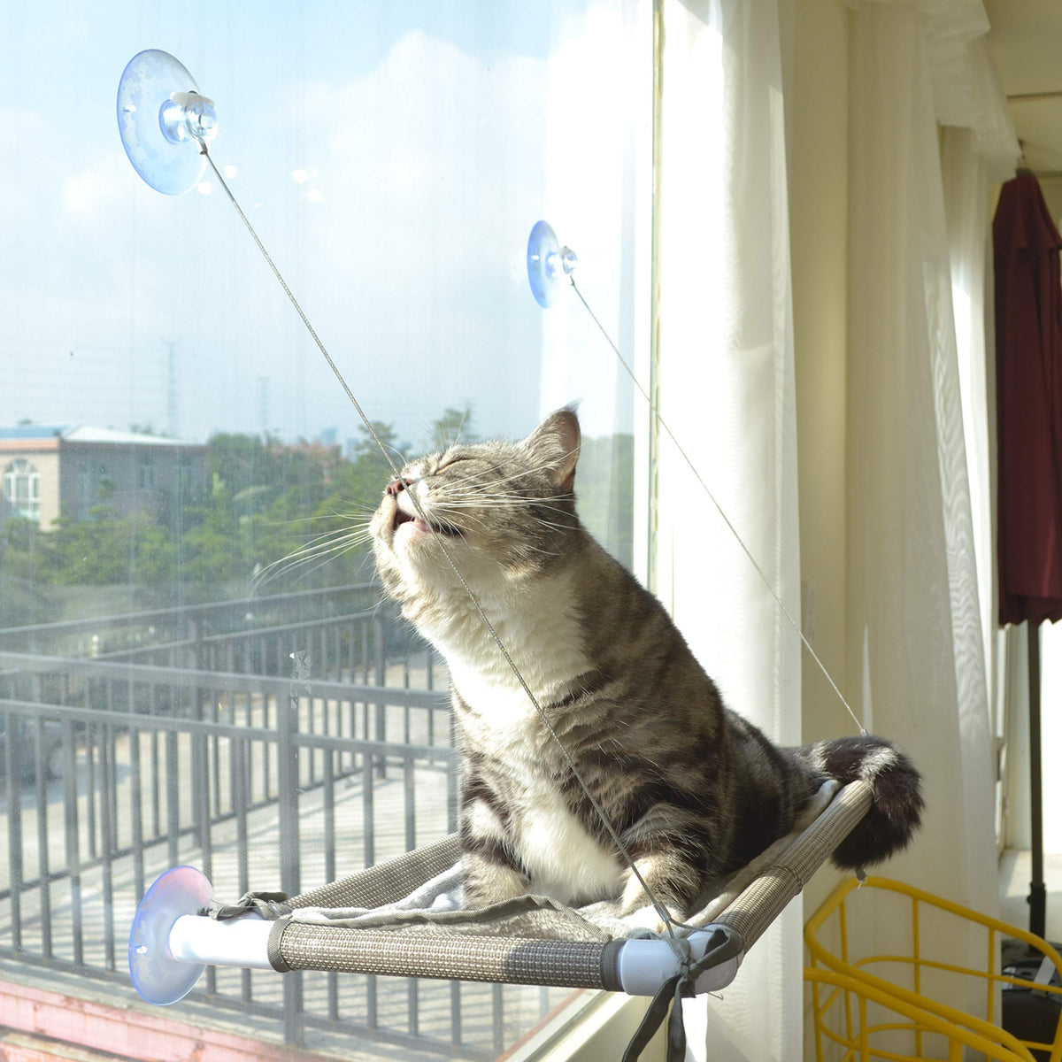 PEFUNY perchoir fenêtre chat avec ventouse 360°, support robuste