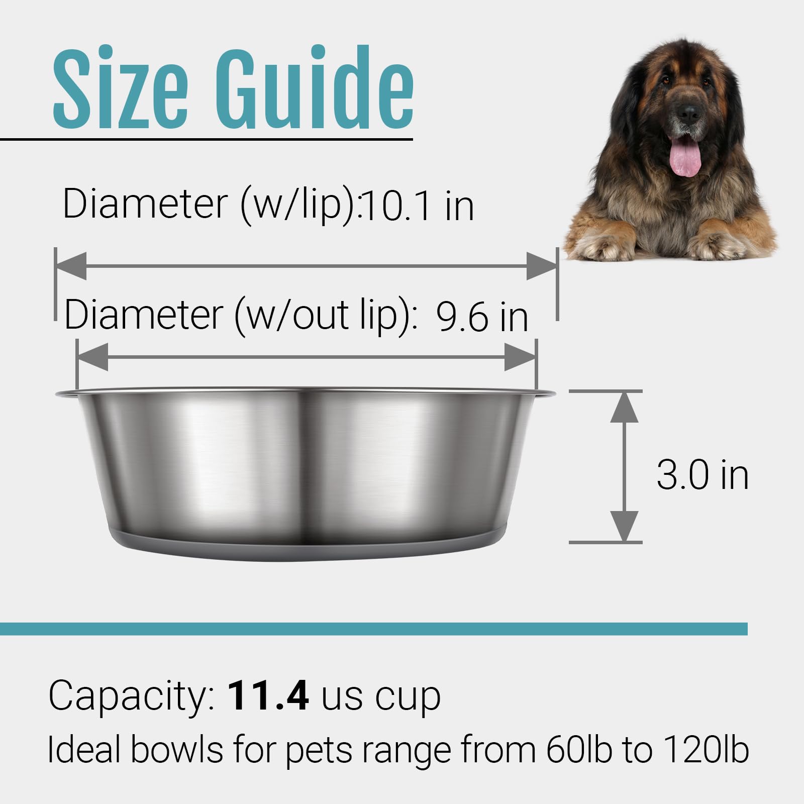 PEGGY11 ensemble de deux bols inox pour chiens, pratique et élégant.