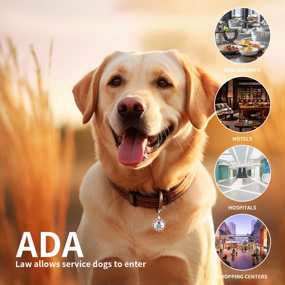 PEHADU étiquette chien – bord rouge distinctif pour une démarcation visuelle.