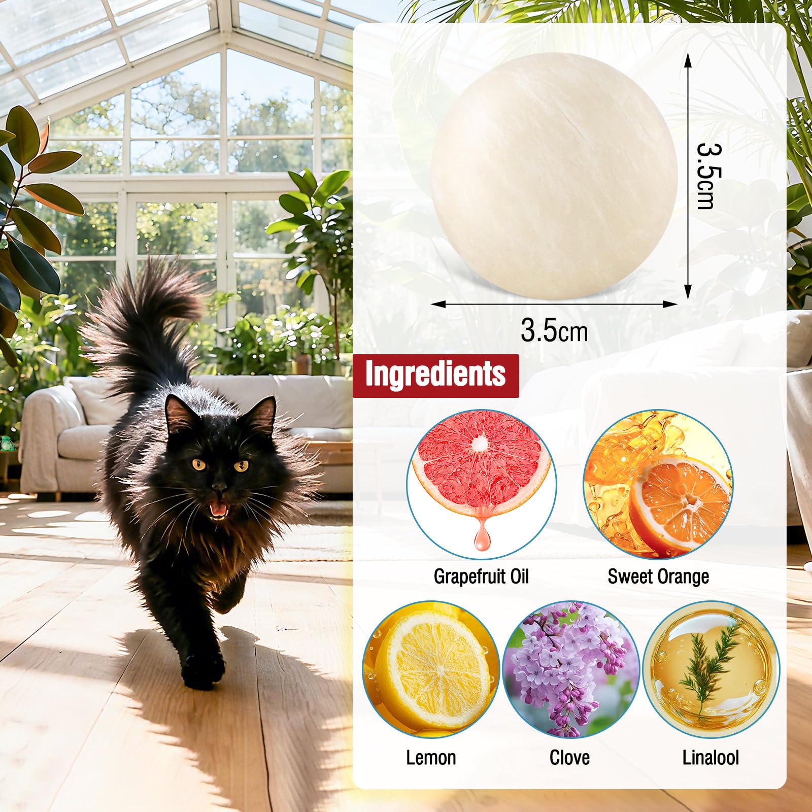 Balle Peidicat de dissuasion pour chats, pratique et durable.