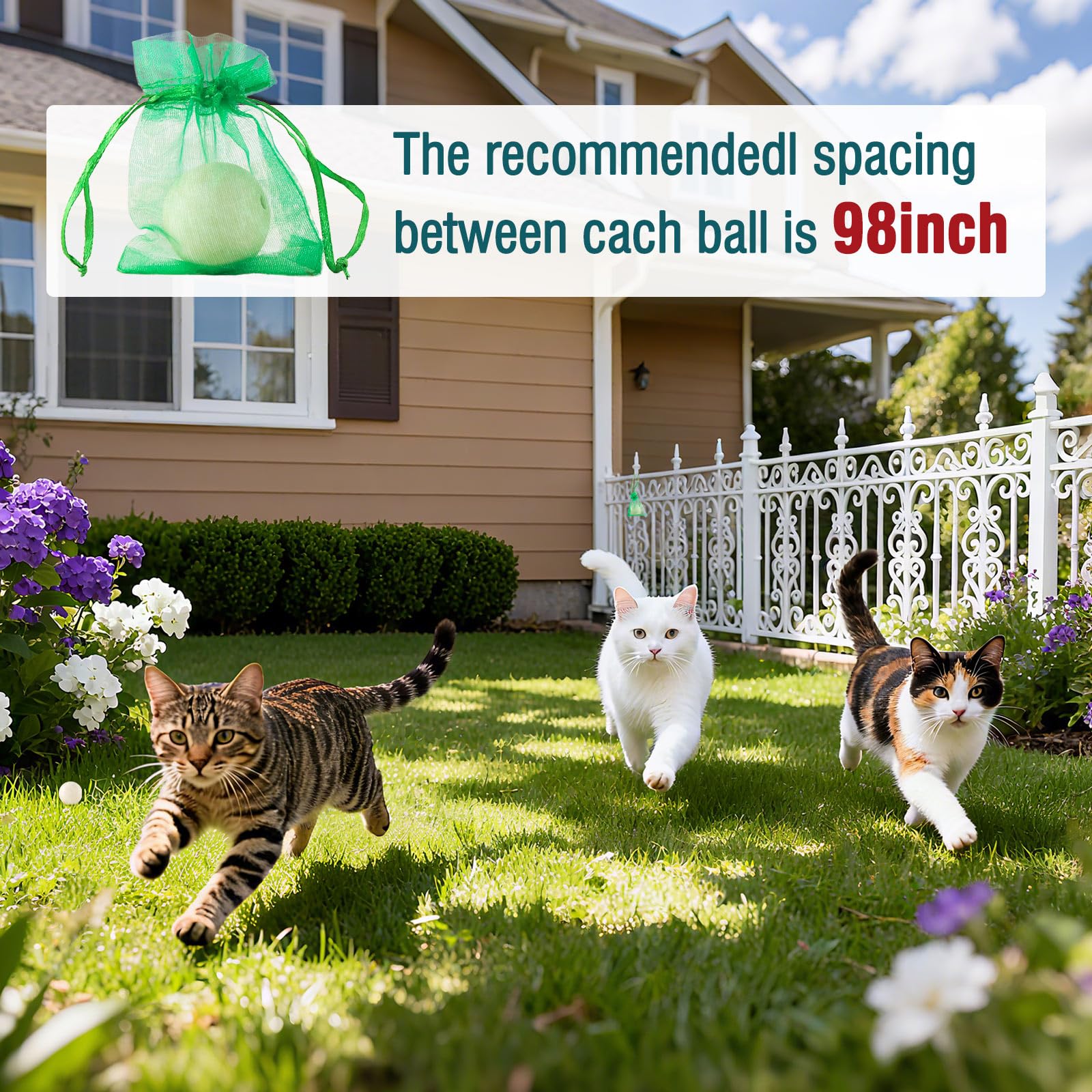 Balle Peidicat prevention des rayures sur les meubles, intérieur.
