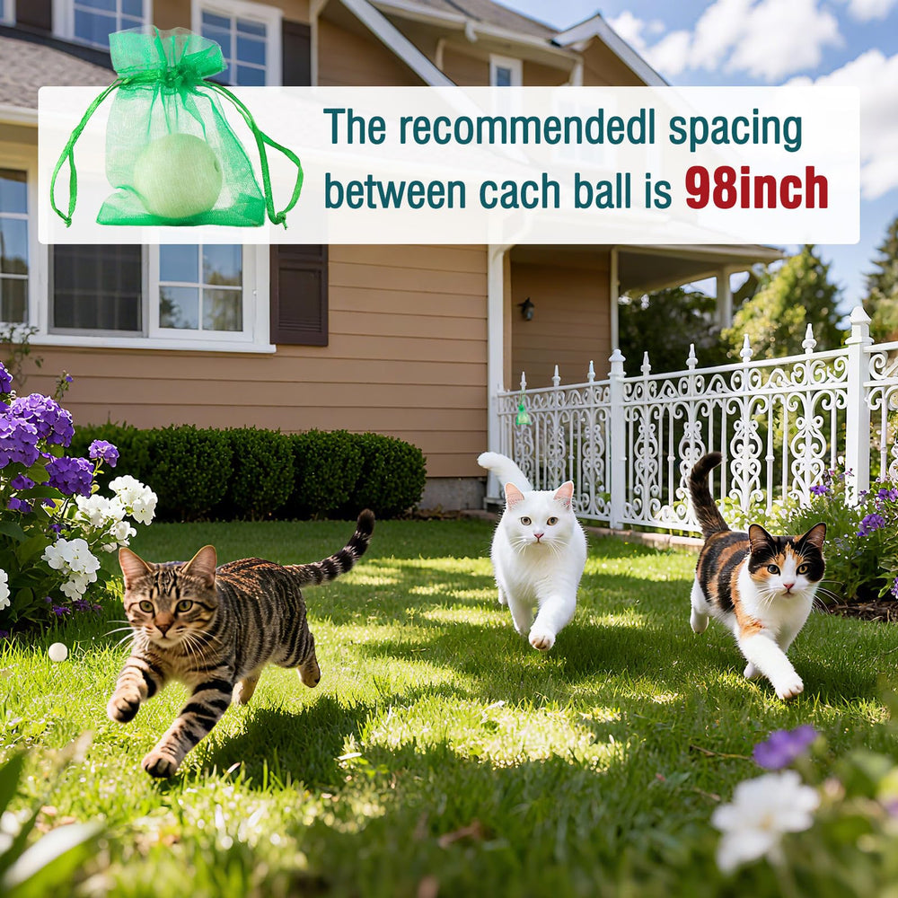 Balle Peidicat prevention des rayures sur les meubles, intérieur.