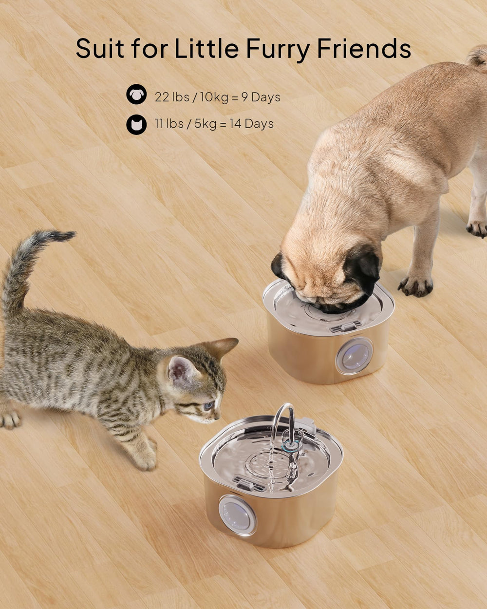 PEKTACO grande capacité 3,2 L adaptée à plusieurs chats et jours entre remplissages.