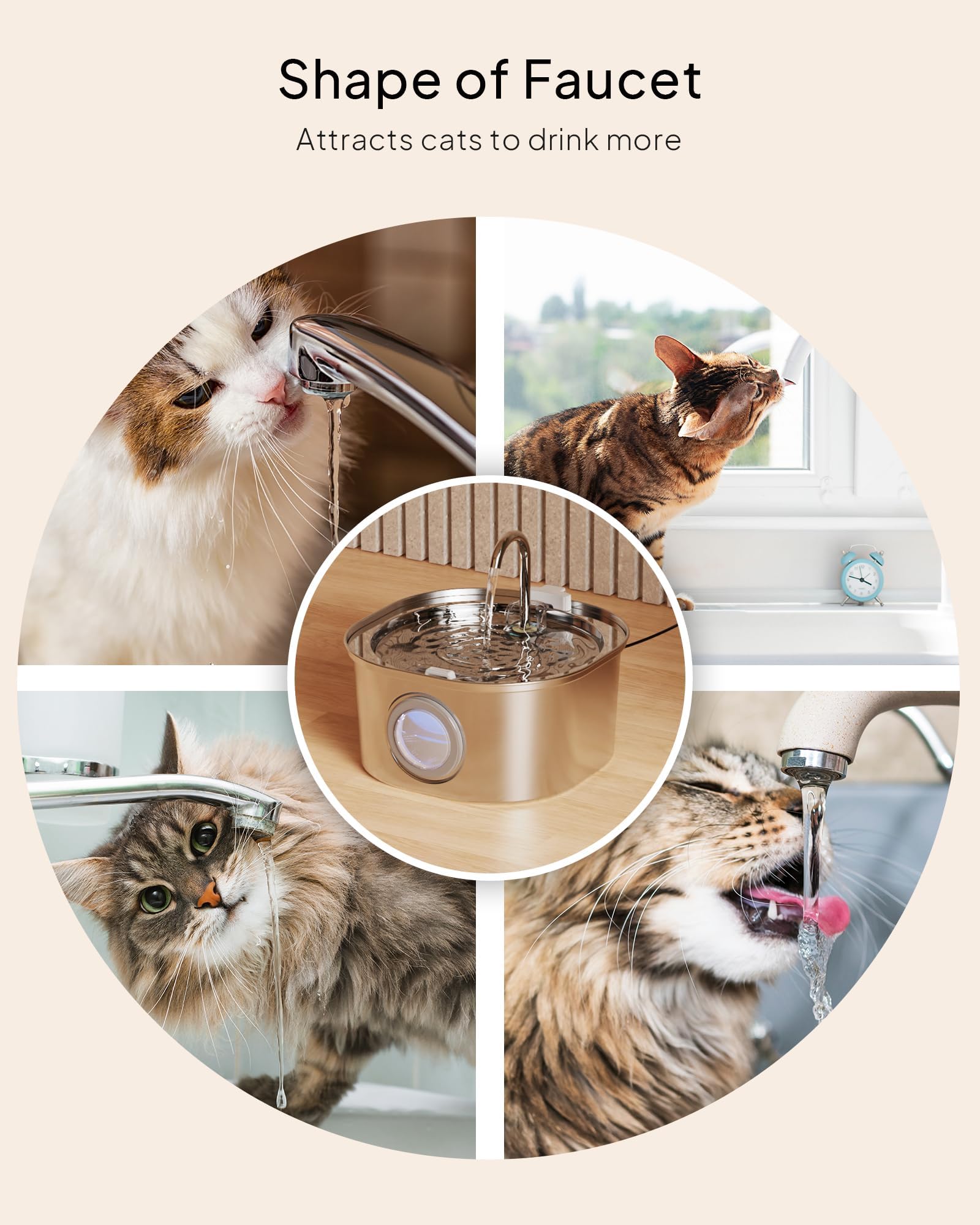 PEKTACO fontaine chat lavable au lave-vaisselle: nettoyage rapide et hygiène.