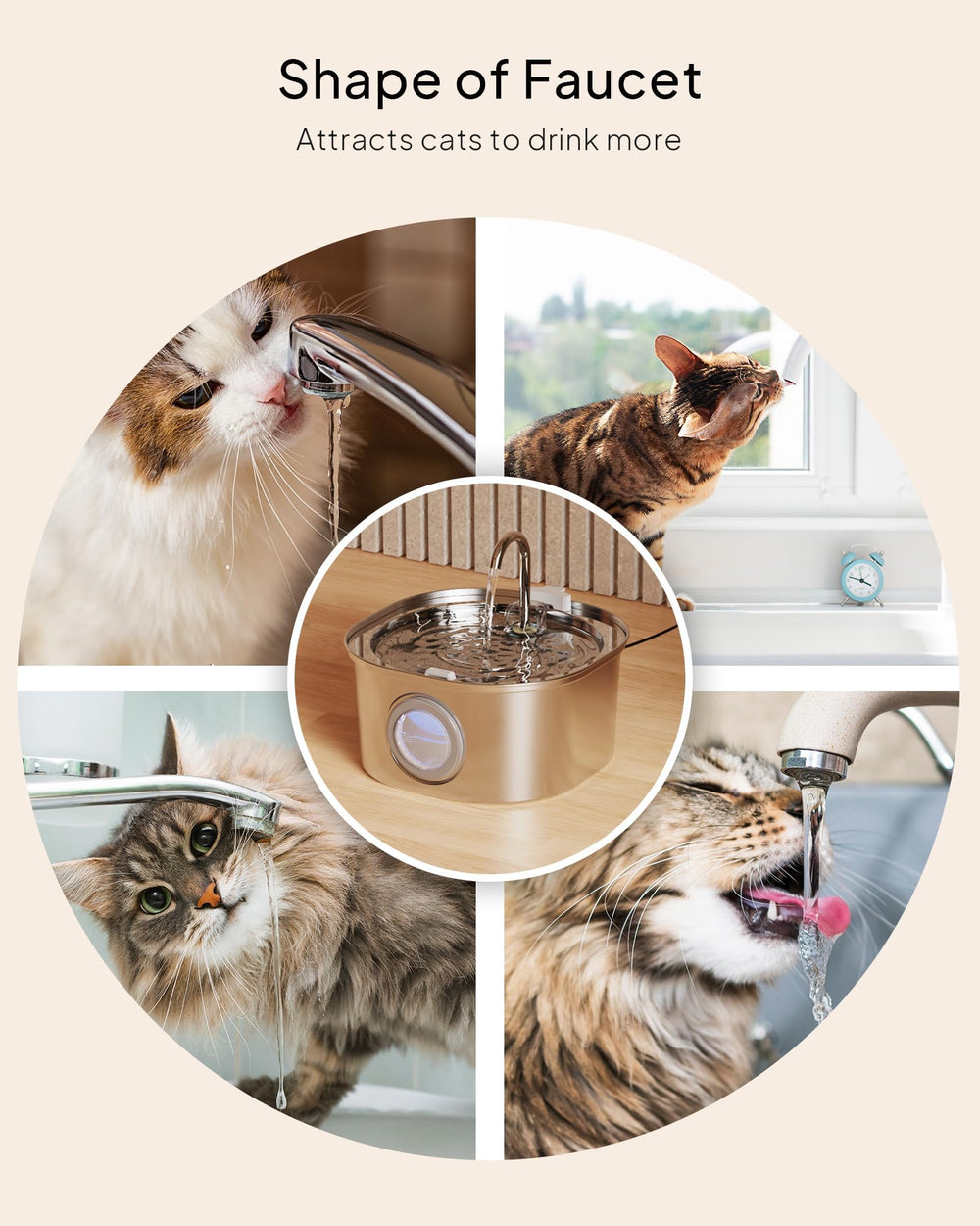 PEKTACO fontaine chat lavable au lave-vaisselle: nettoyage rapide et hygiène.