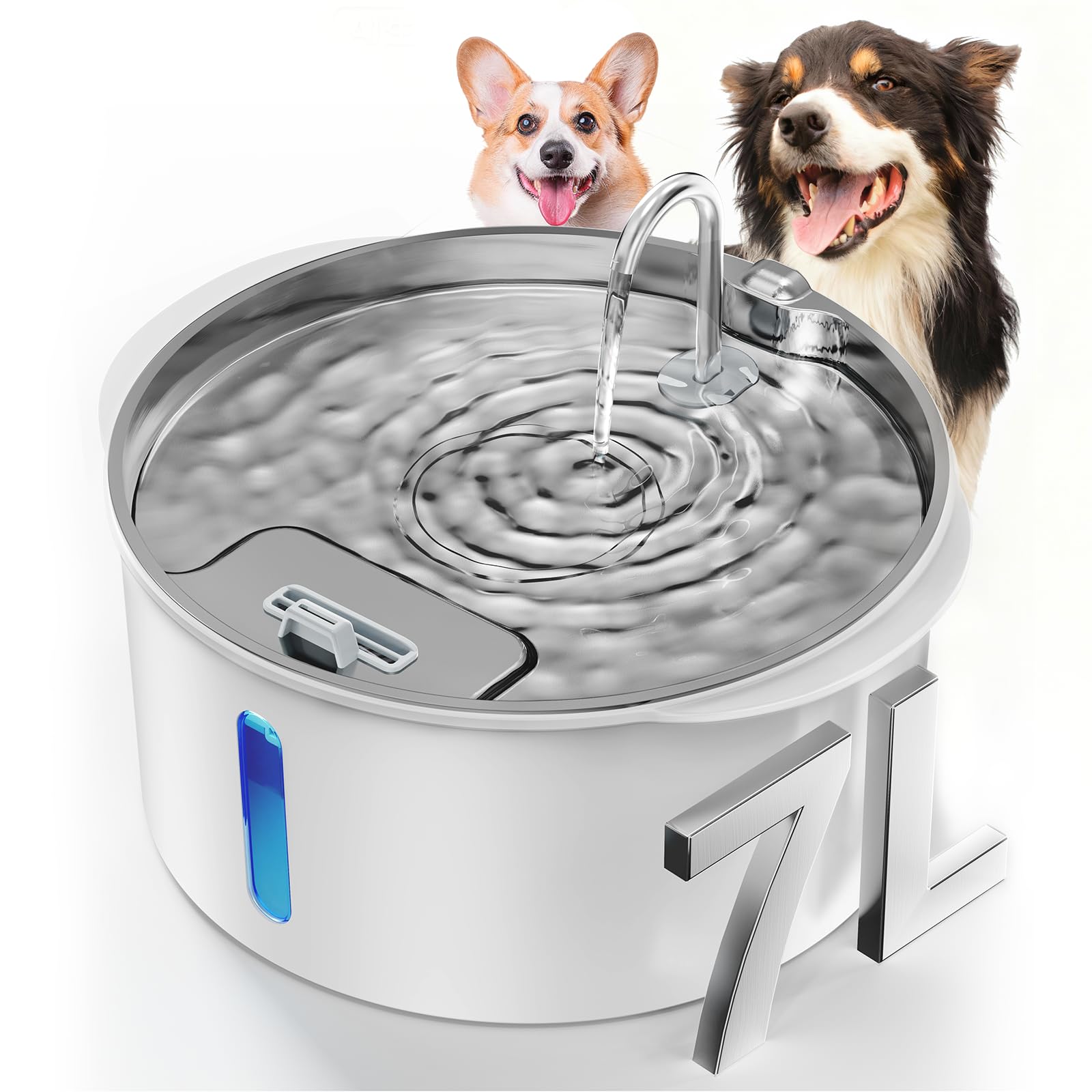 PEKTACO fontaine eau chien grand 7L vue d ensemble, capacité généreuse.