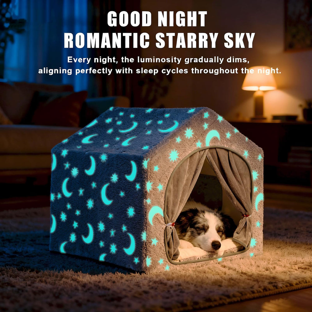 Pelemee ambiance nocturne avec étoiles lumineuses pour chien.