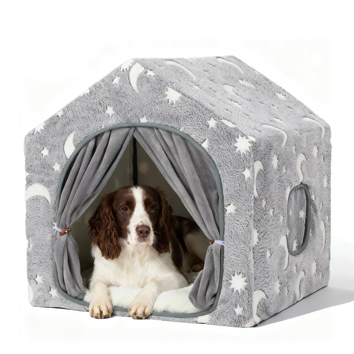 Pelemee maison chien intérieur avec lumières étoiles pour nuits sereines.