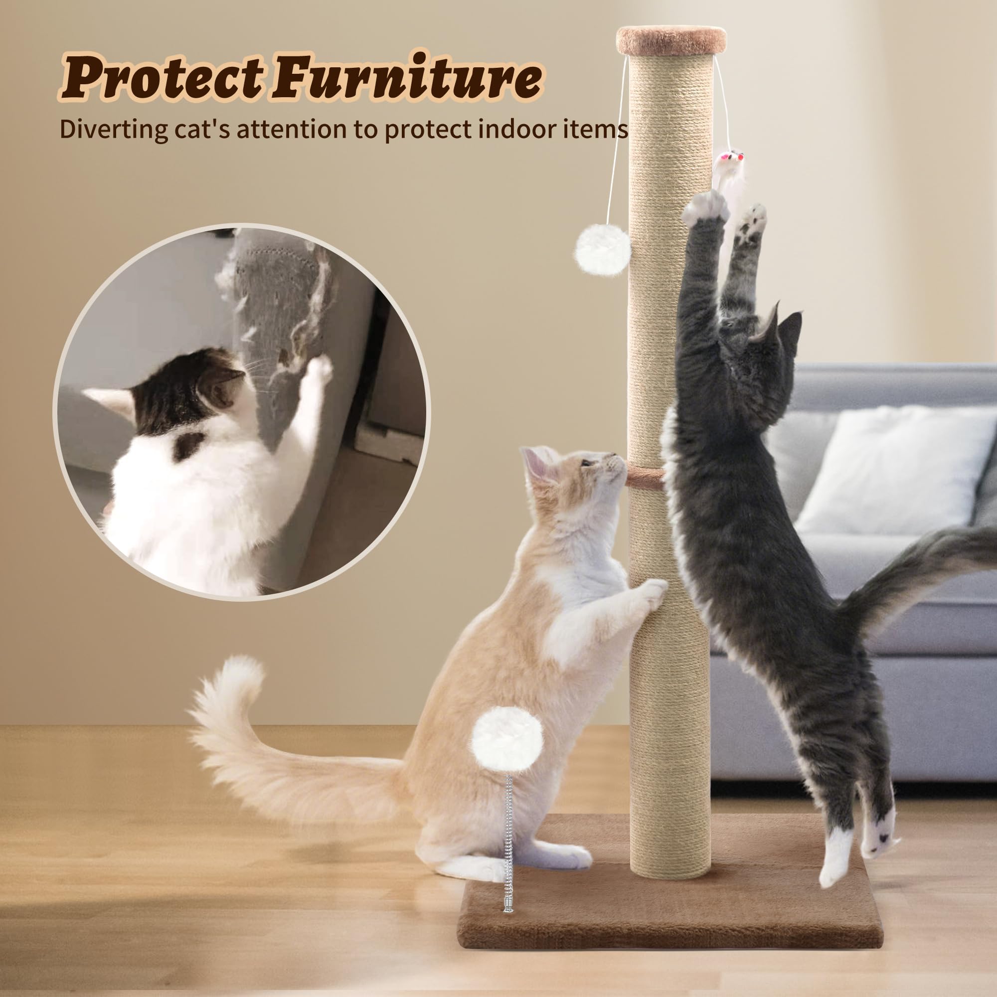 Peluomoz design moderne et neutre s'intègre au décor.