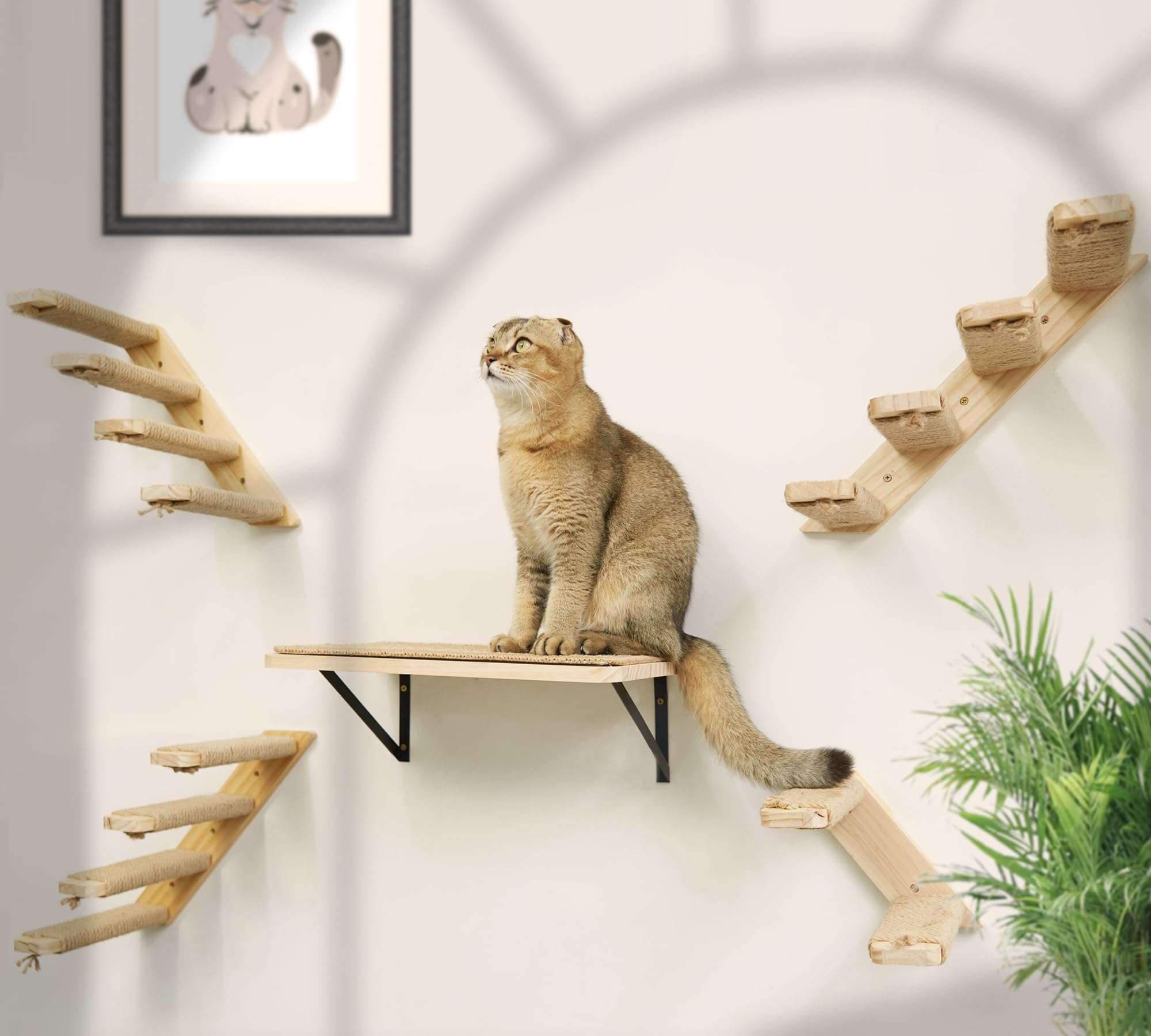 PELUMOZ espace de jeu vertical pour chats et décor moderne
