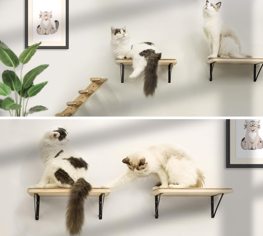 PELUMOZ hamac chat perche près fenêtre pour repos