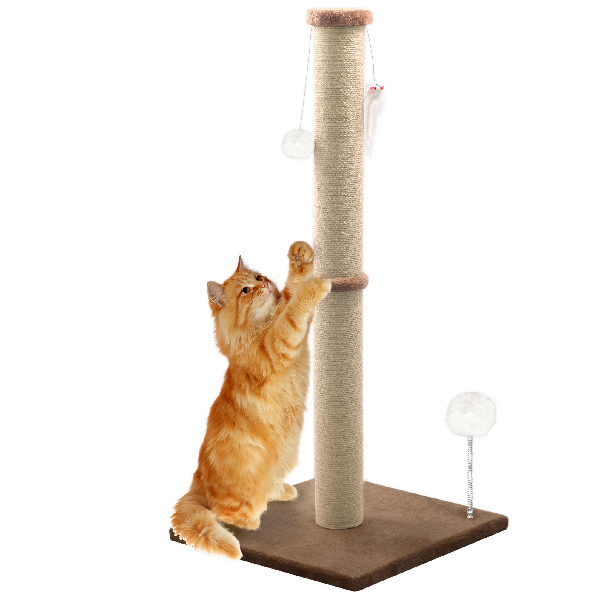 Peluomoz poteau grattoir 36'' pour l'étirement et le jeu.