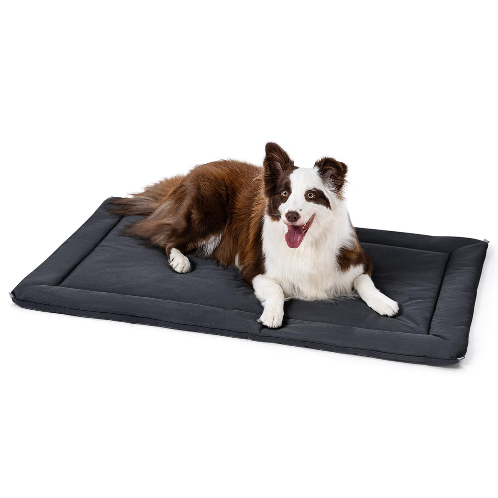 Pelzin Cybarmour, tapis caisse chien indestructible pour caisse de 36 pouces