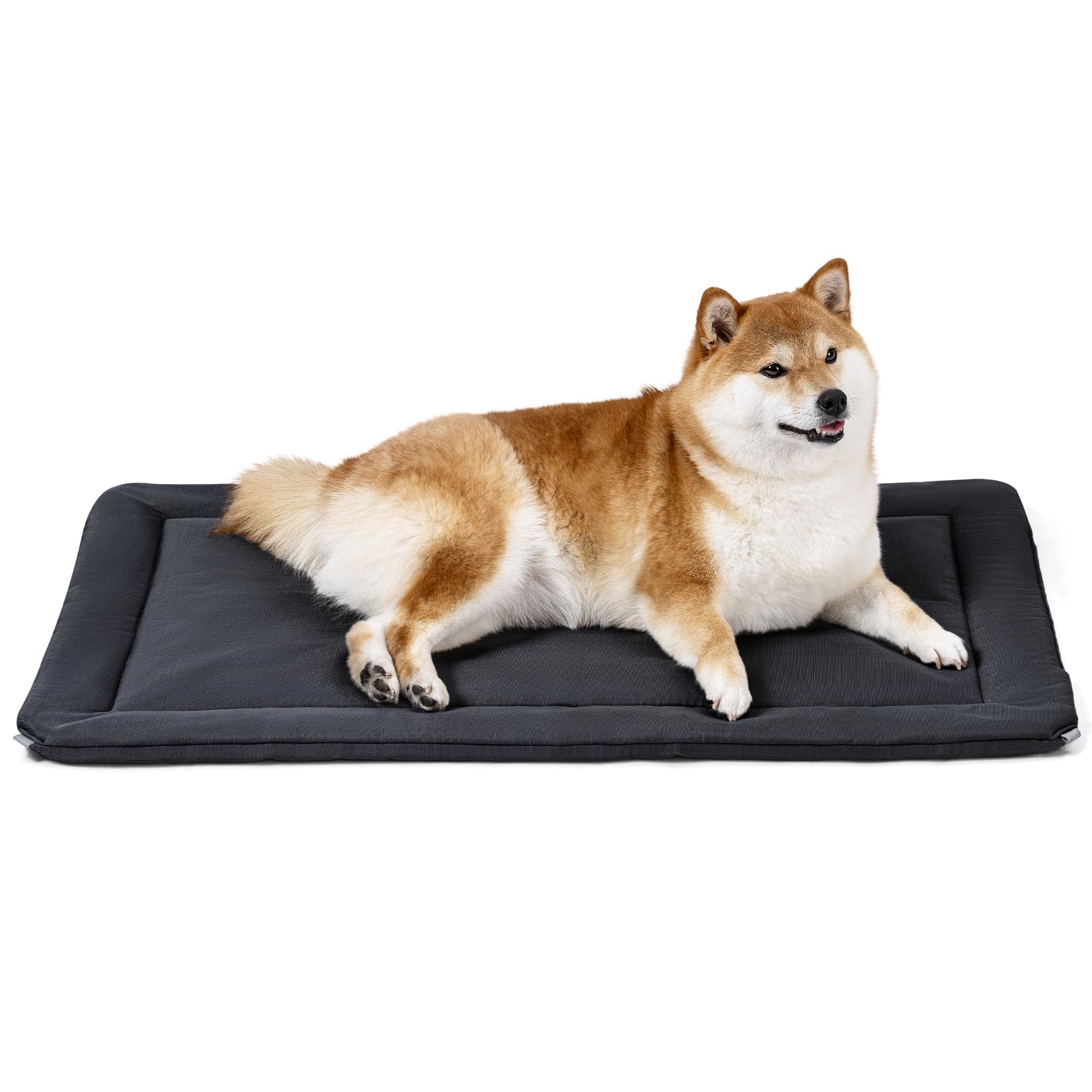 Pelzin Cybarmour Tapis Caisse Chien Indestructible, résiste aux morsures et griffes.