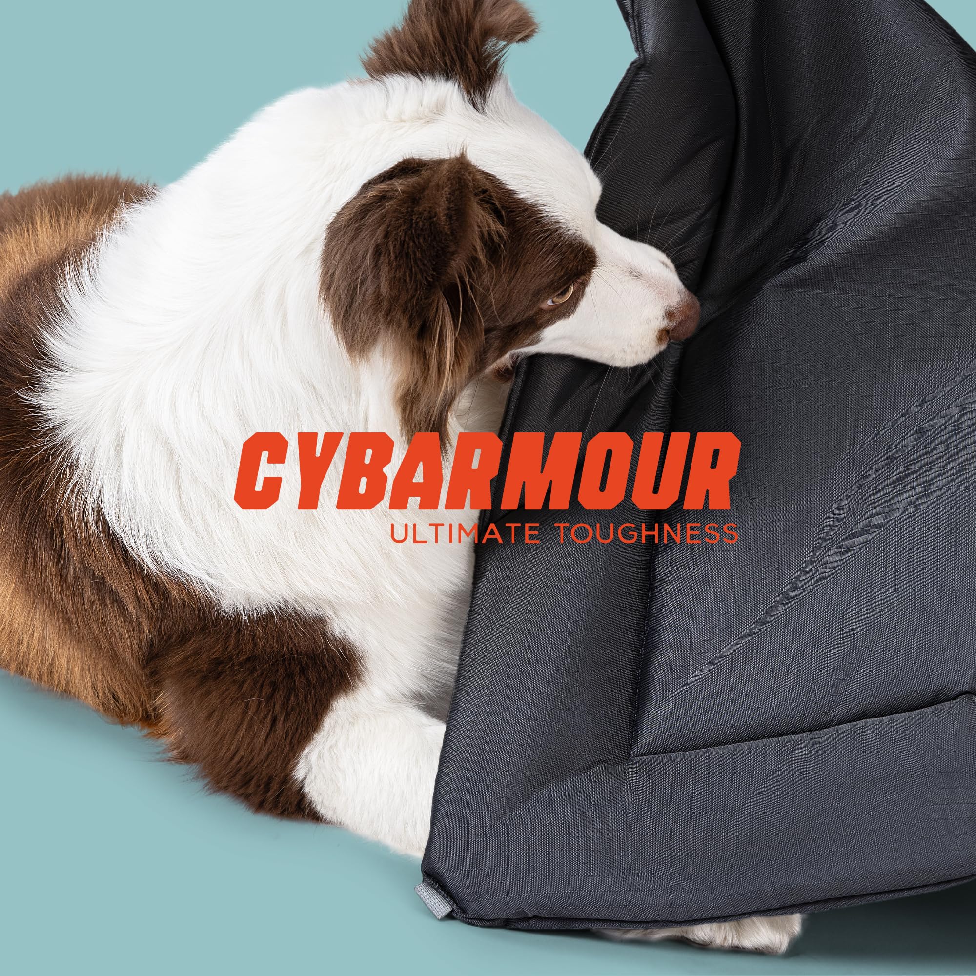 Pelzin Cybarmour Tapis Chien Exterieur Refroidissant, surface fraîche en été.