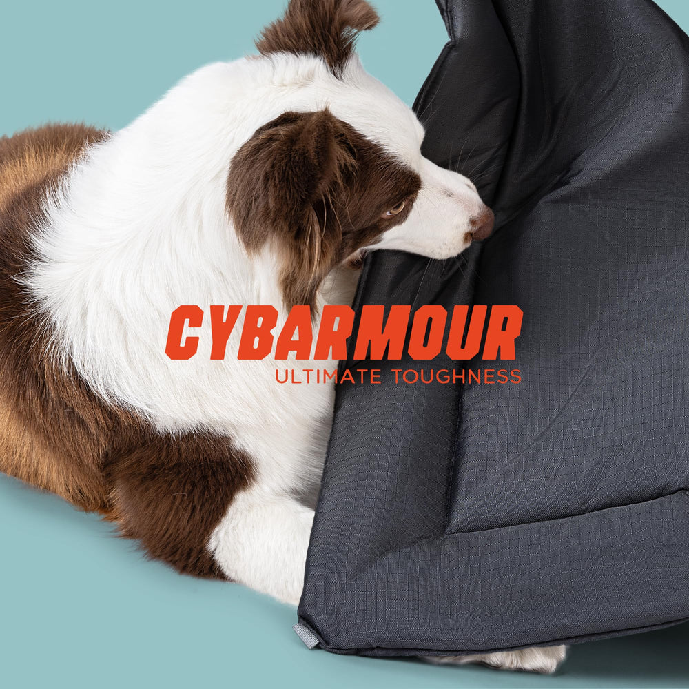 Pelzin Cybarmour Tapis Chien Exterieur Refroidissant, surface fraîche en été.