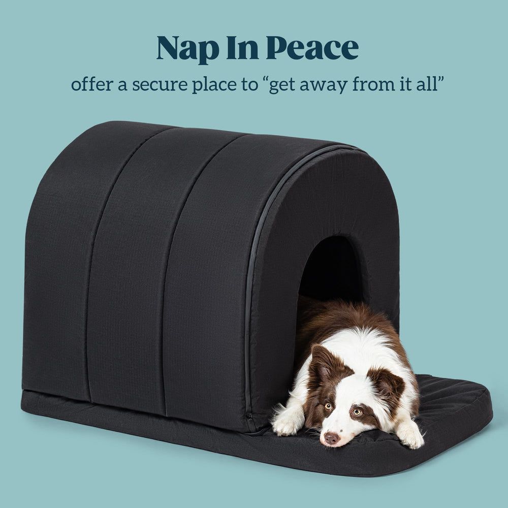 Pelzin Maison Chien Orthopedique interieur, espace prive pour repos calme.
